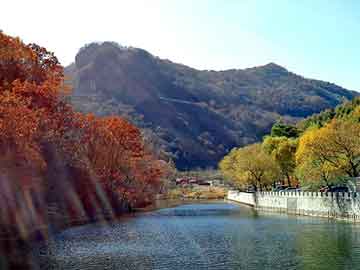 天天彩好彩天天免费，石油树脂厂家